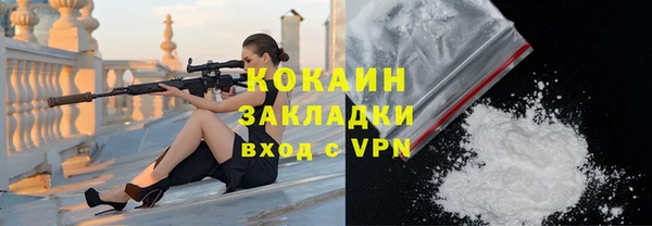прущие грибы Гусь-Хрустальный