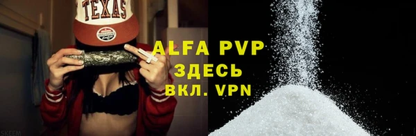 прущие грибы Гусь-Хрустальный