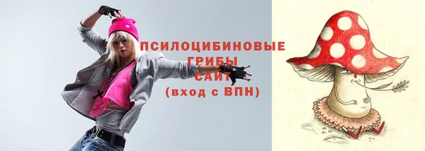 прущие грибы Гусь-Хрустальный