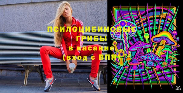 прущие грибы Гусь-Хрустальный