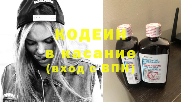 прущие грибы Гусь-Хрустальный