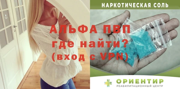 прущие грибы Гусь-Хрустальный