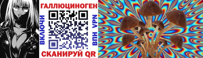 Галлюциногенные грибы MAGIC MUSHROOMS  Мещовск 